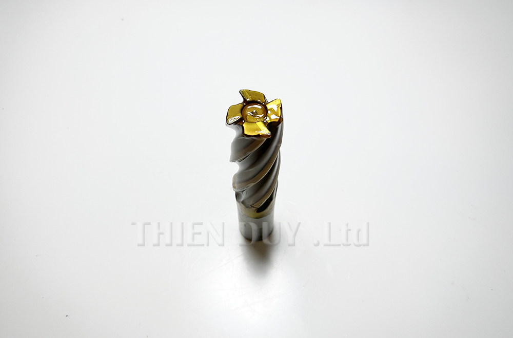Dao phay ngón thép gió NL-4 35M-SKH56 - NS-TOOLS - D35
